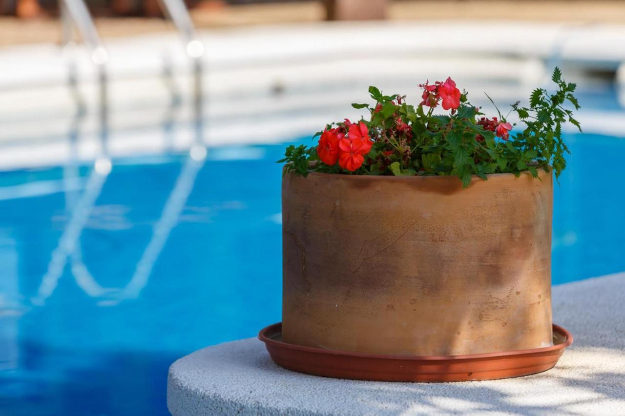 Casa Duende En Villa De Nijar Con Piscina Zimmer foto